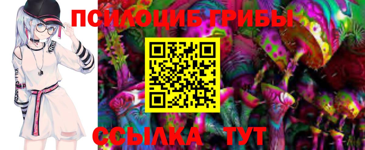 Псилоцибиновые грибы мицелий  Псилоцибиновые грибы GOLDEN TEACHER  где можно купить   Вход с VPN  Новый Уренгой 